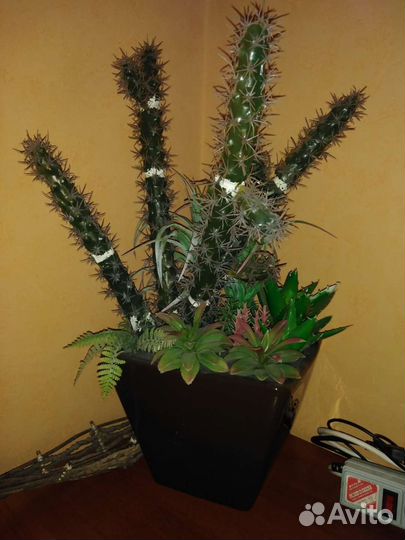 Большой кактус редкий искусственный 60см