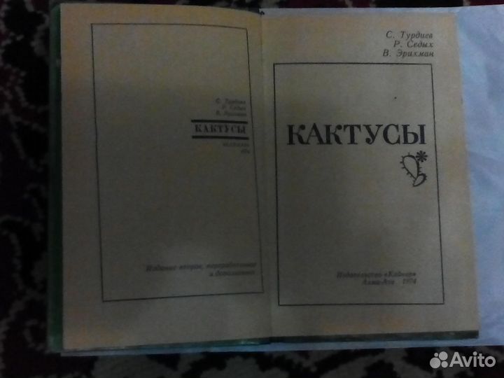 Кактусы