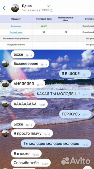 Репетитор по русскому языку и литературе