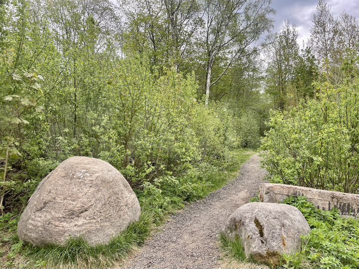 Участок 9,2 сот. (СНТ, ДНП)