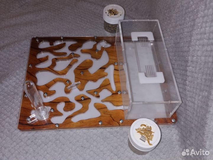 Муравьиная ферма