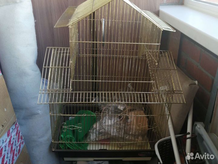 Клетка для птиц