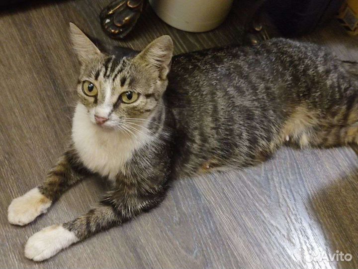 Привет из зоны сво