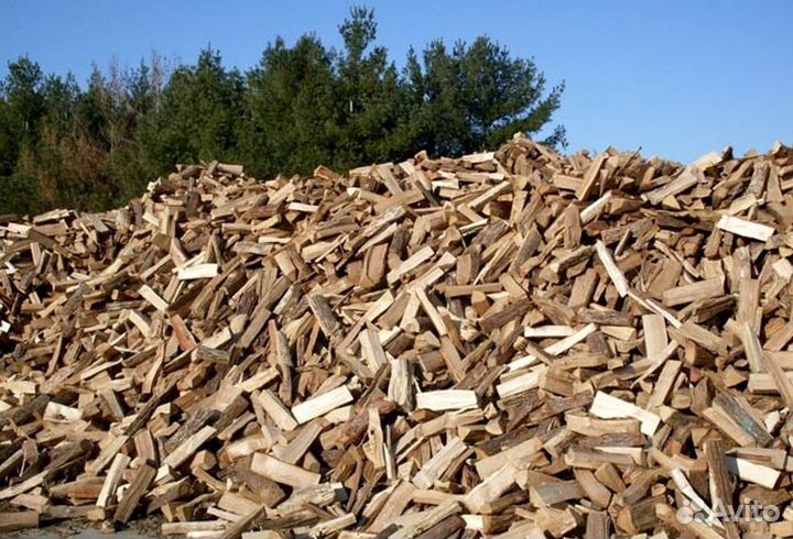 Дрова для бани