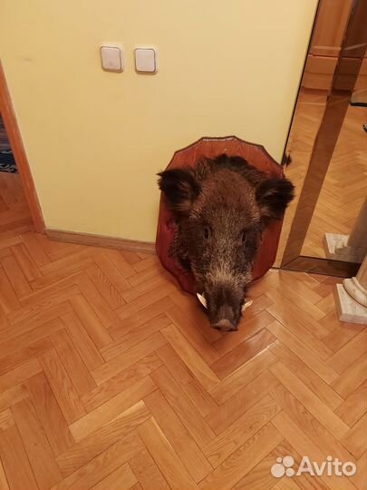 Предметы декора для интерьера