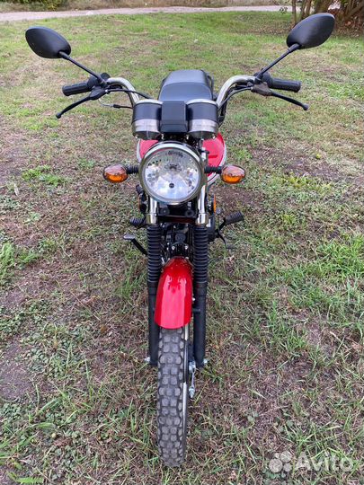 Alpha rx 110