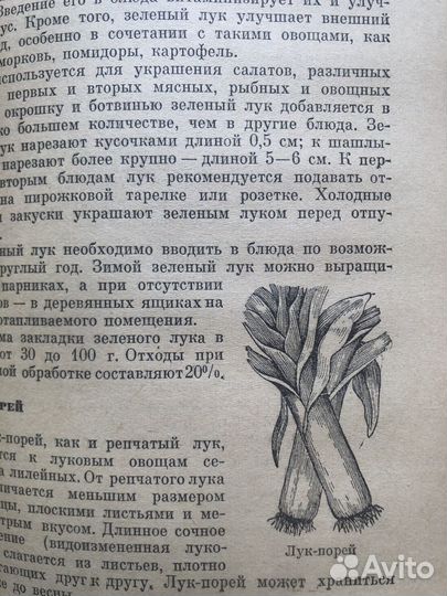 Агата Кристи. Восточный экспресс