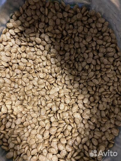 Корм для собак Акари Киар