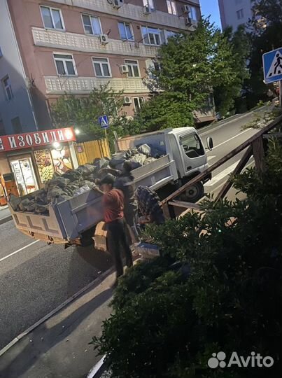 Вывоз мусора, Чистка участка
