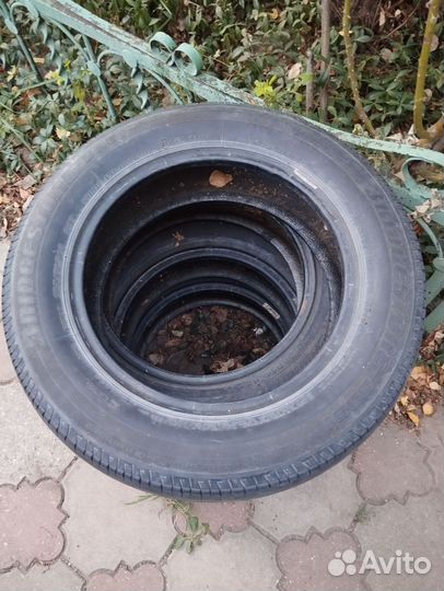 Accelera Sigma 16.5/7 R14