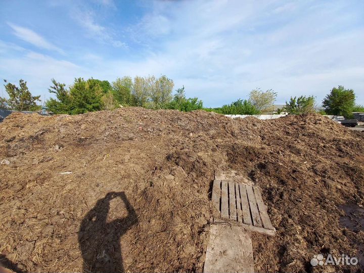 Навоз коровий