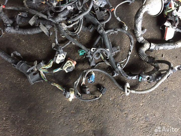 Проводка капотная Ford Focus III 1.6 2012