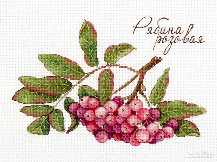 Вышивка крестом на канве в асс-те мп Студия