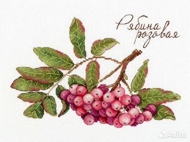 Вышивка крестом на канве в асс-те мп Студия