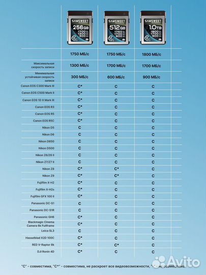 Карта памяти Samsweet Pro CFexpress Type B 256GB