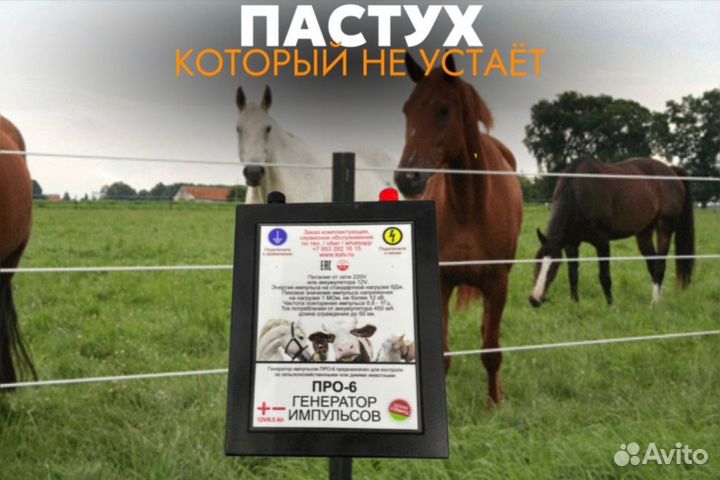 Электропастух до 50 км