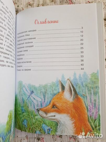 Приключения Уйки