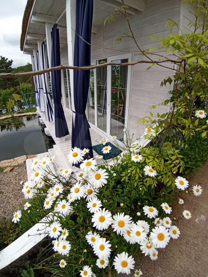 Дом 26 м² на участке 5 сот.