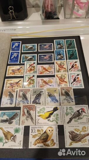 Марки птицы