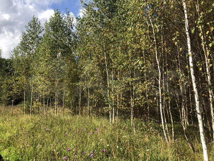 Участок 15 сот. (ИЖС)