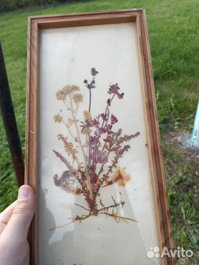 Картина с сухими цветами 1986 года СССР