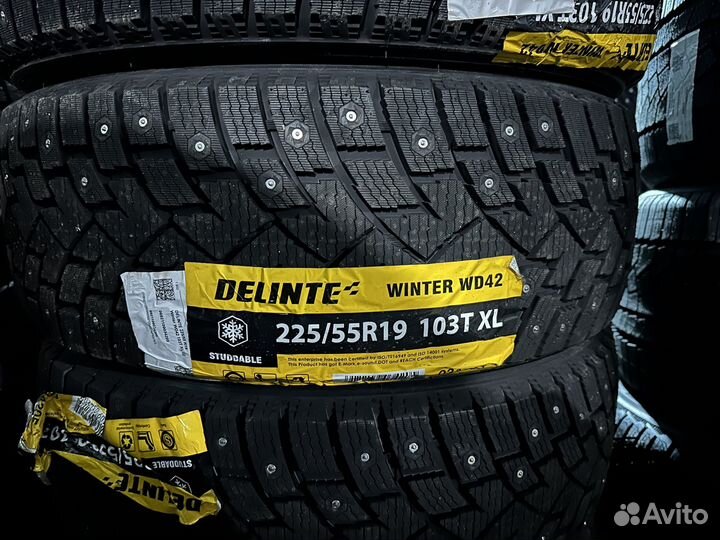 Delinte Winter WD42 225/55 R19 103T