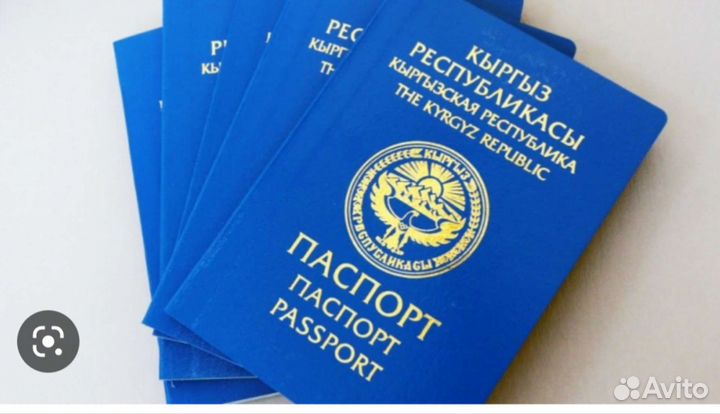 Гражданство Кыргызстана