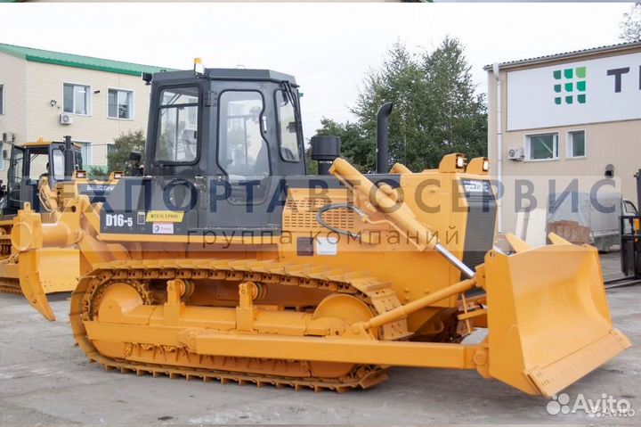Beezone D16-5, 2023