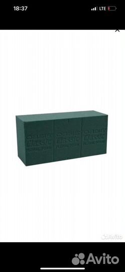 Флористический оазис