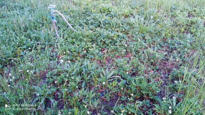 Дача 27 м² на участке 5 сот.