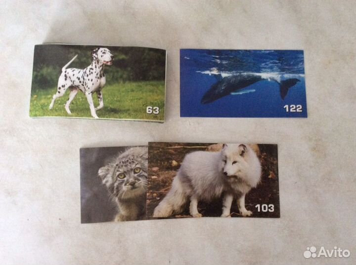 Наклейки «Мания и сигма»