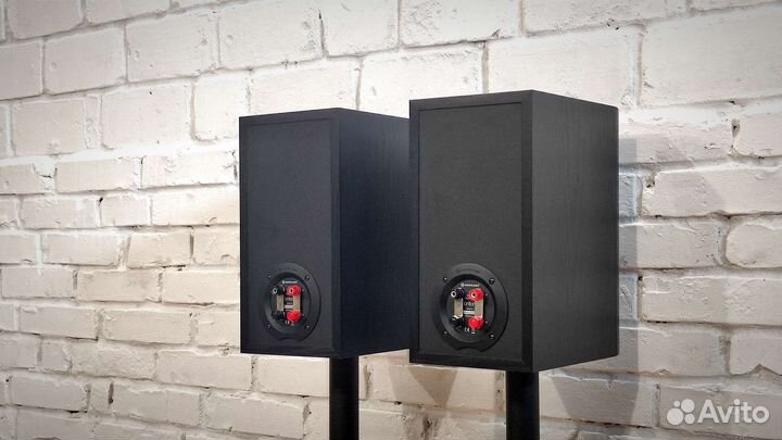 Мощные Monitor Audio MR2 (England)