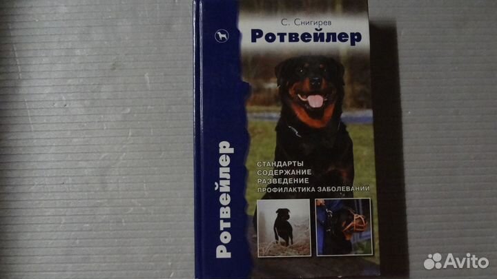 Кошки, собаки, попугаи