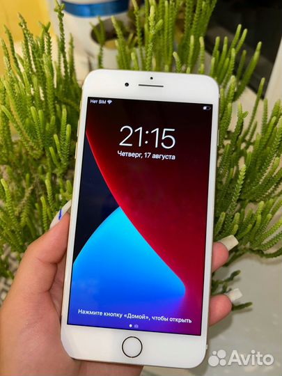 iPhone 7 plus