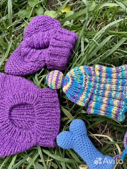 Одежда и игрушки для собак