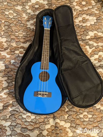 Укулеле концерт Fabio