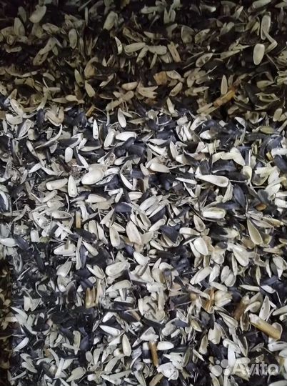 Шелуха подсолнечника Мульча удобрение