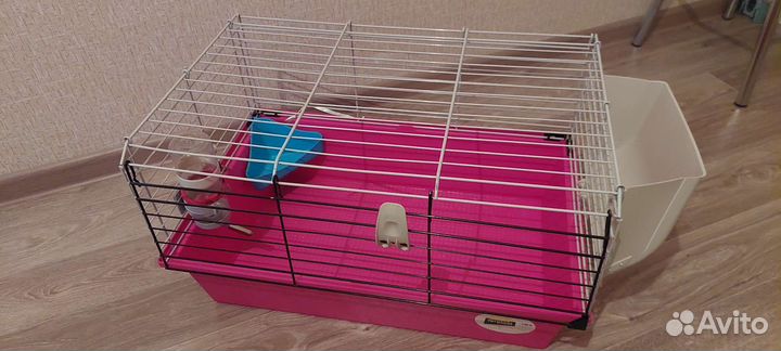 Клетка для кролика и морской свинки