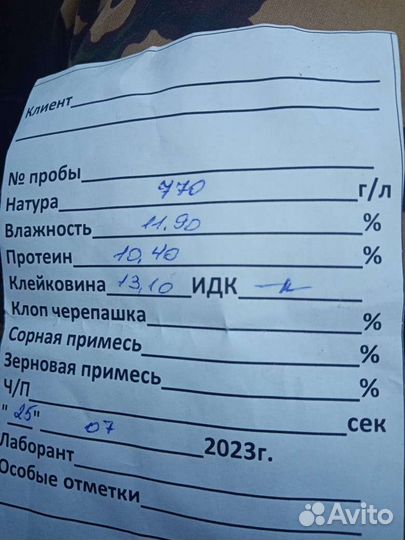 Продаю Пшеницу и Ячмень