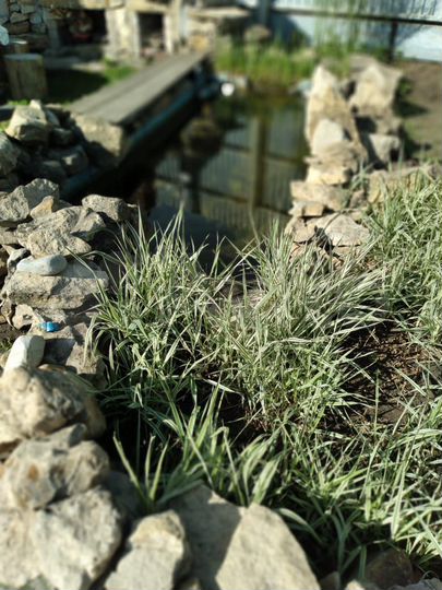 Дом 67,7 м² на участке 9 сот.