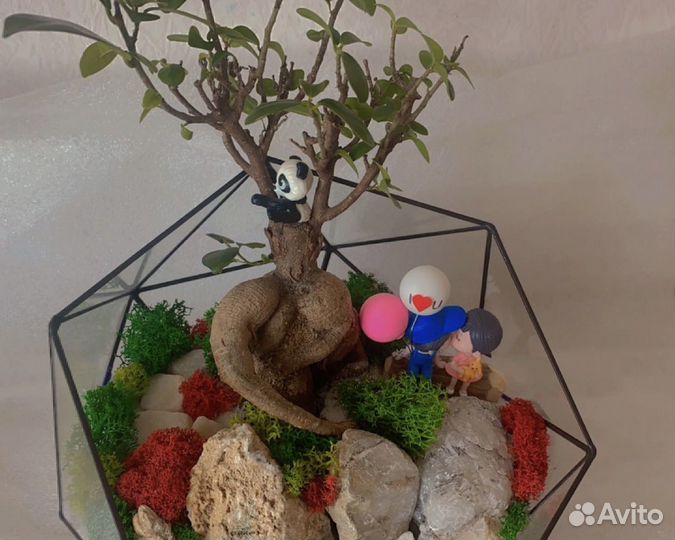 Флорариумы под заказ