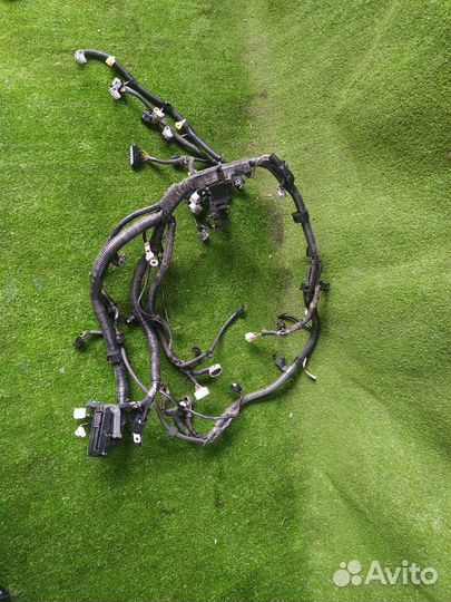 Коса двс Toyota Camry ACV40-aeank 2azfe 2008