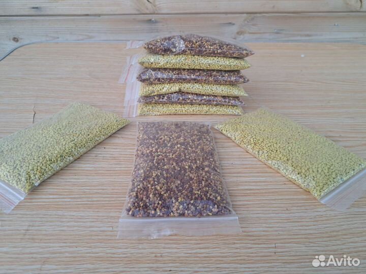 Пыльца пчелиная урожай 2023