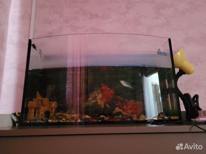 Аквариум
