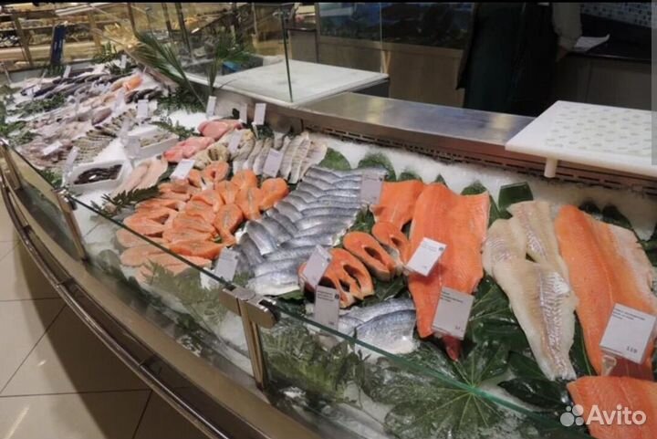 Готовый бизнес: рыбный магазин под ключ