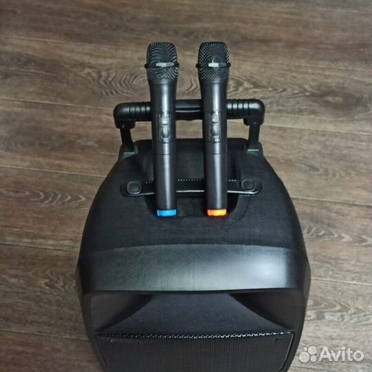 Leem PR-12HR колонка с 2 микрофонами + аккумулятор