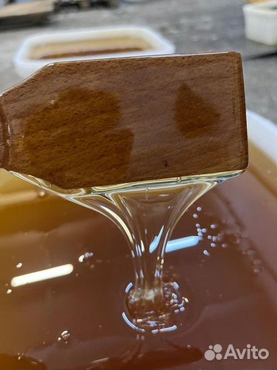 Мёд оптом майский