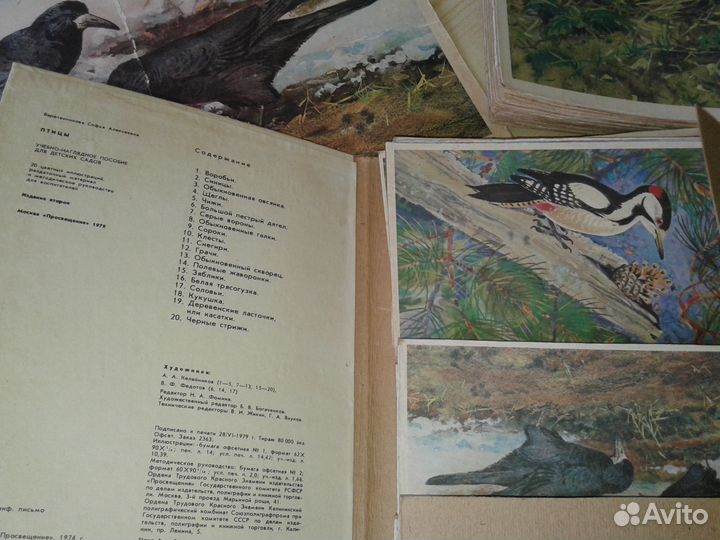 Картины-учебно-наглядное пособие для детских садов