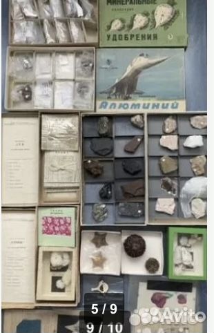 Гербарии, биология, физика, анатомия