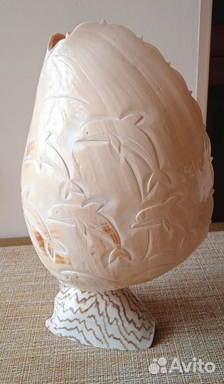 Большая морская раковина с гравировкой «дельфины»